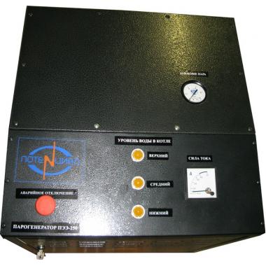 Парогенератор электрический нерегулируемый ПЭЭ-250